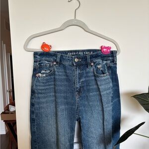 American Eagle Outfitters Strigid Mom Jean